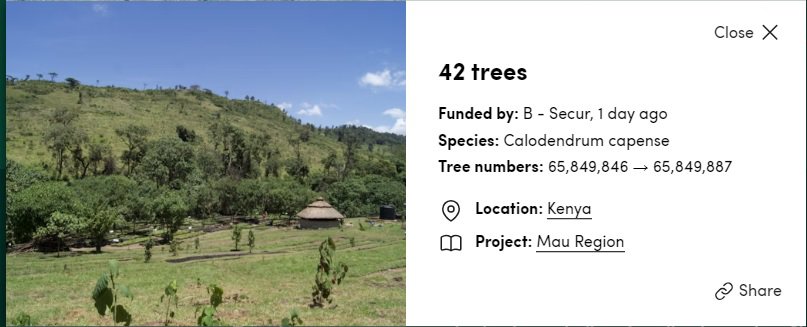 Kenya, tree planting
